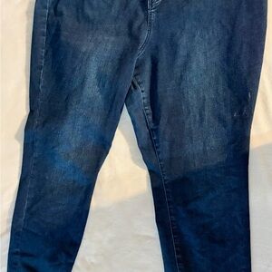Eloquii Dark Blue Denim Jeans